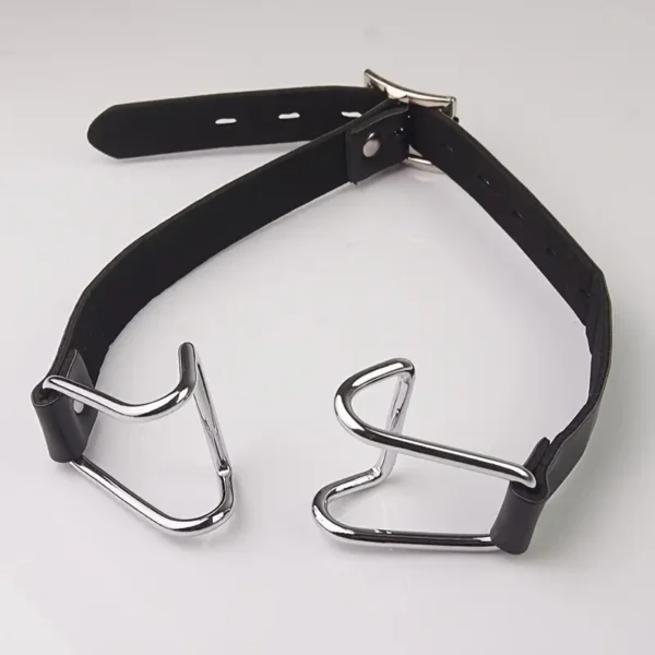Stainless Steel Spider Ring Gag BDSM Bondage, Nose and Mouth Hook Diffuser, Leather Headband, Couple Restraint Sex Toy - Image 6